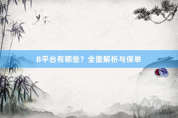 B平台有哪些？全面解析与保举